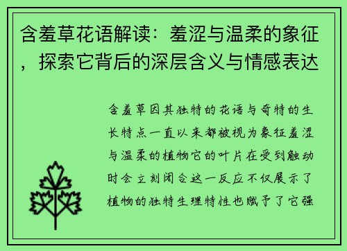 含羞草花语解读：羞涩与温柔的象征，探索它背后的深层含义与情感表达